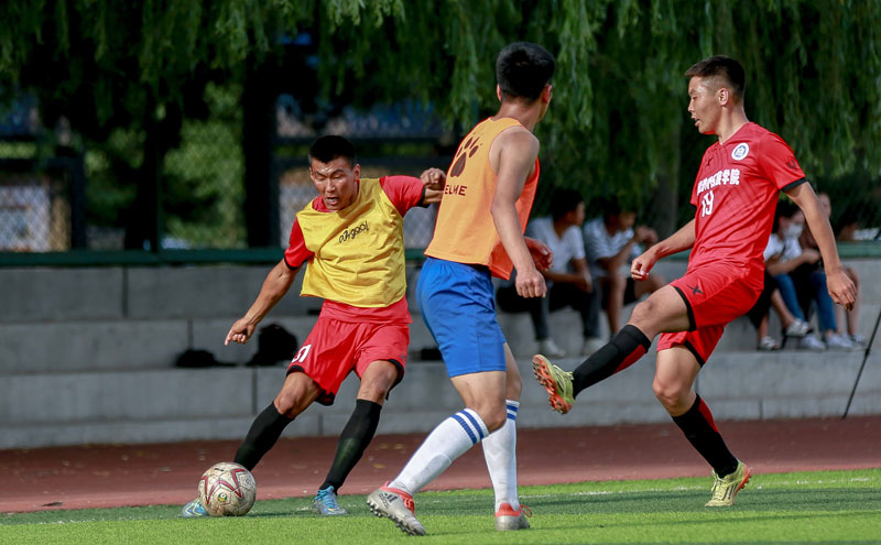 德转列本赛季五大联赛场均积分：（转会市场统计：本赛季五大联赛场均积分榜）
